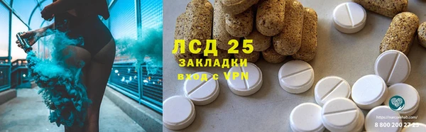 стафф Алексин