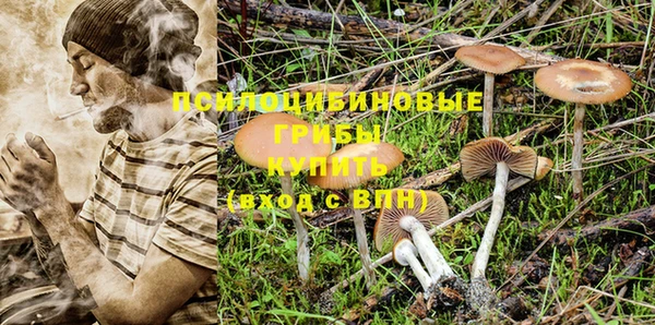 экстази Алексеевка