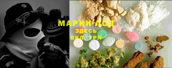 стафф Алексин