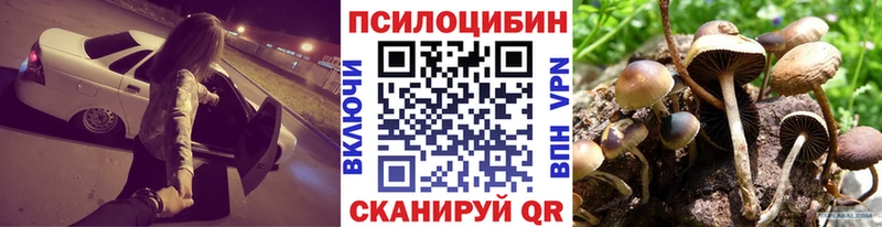 купить наркоту  Мурманск  Галлюциногенные грибы Cubensis 